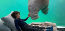 Pairi Daiza Resort - Underwater Rooms In Europe's Best Zoo