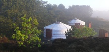 Texel Yurts - Warm And Inviting Yurt Camp