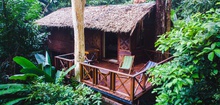 Our Jungle House - Rainforest Experience In Southern Thailand