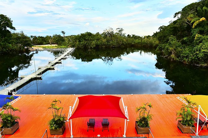 Amazon Jungle Palace Pool