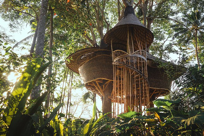 Bambu Indah Treehouse