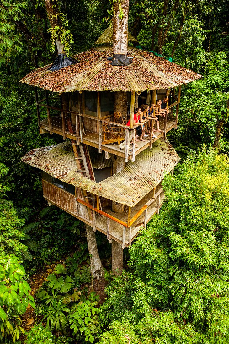 Main treehouse