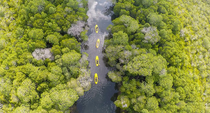 Kayaking in the mangroves of Watami, Kenya aerial photo