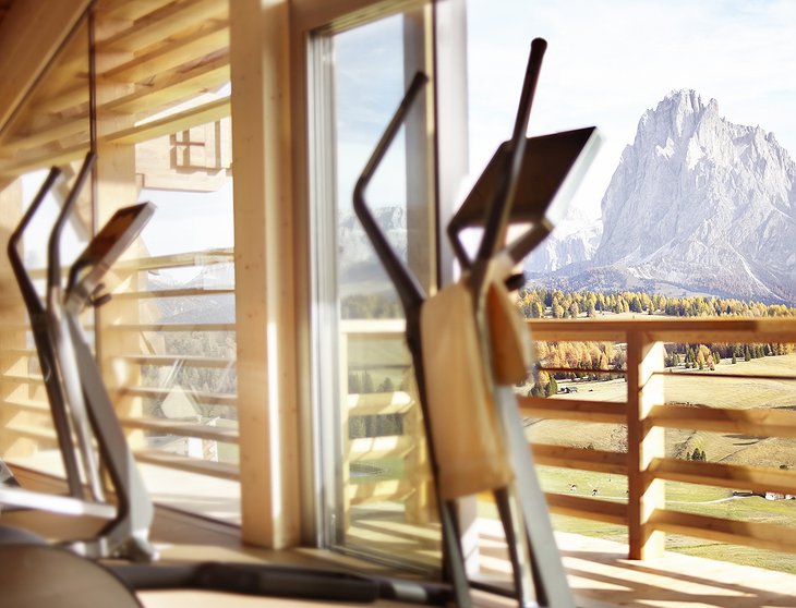 Gym with Alps views