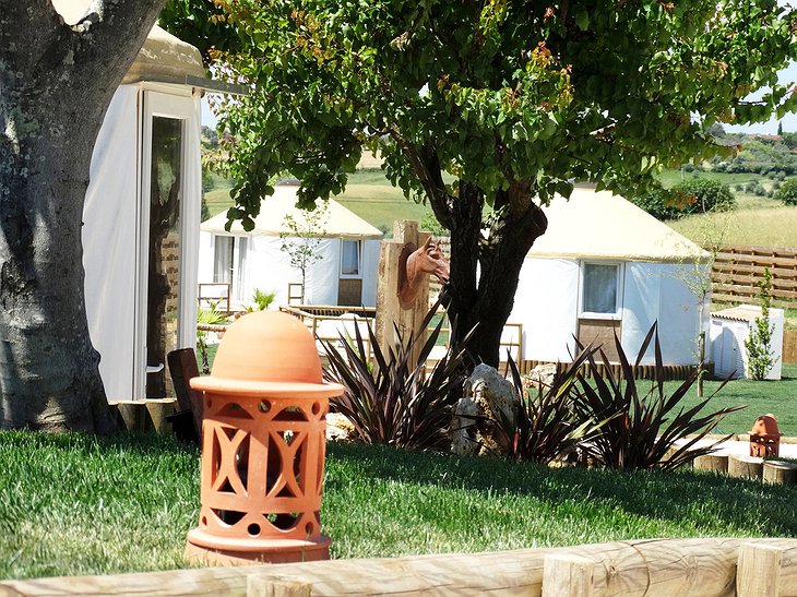 Quinta M hotel with yurts