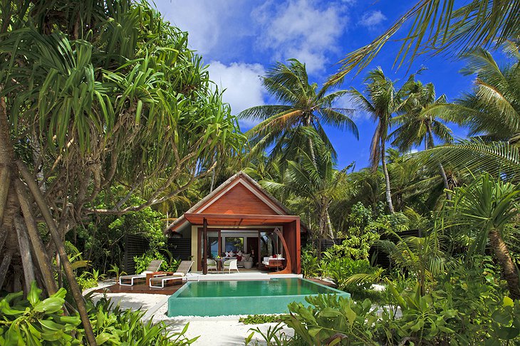Bungalow in the jungle of Maldives