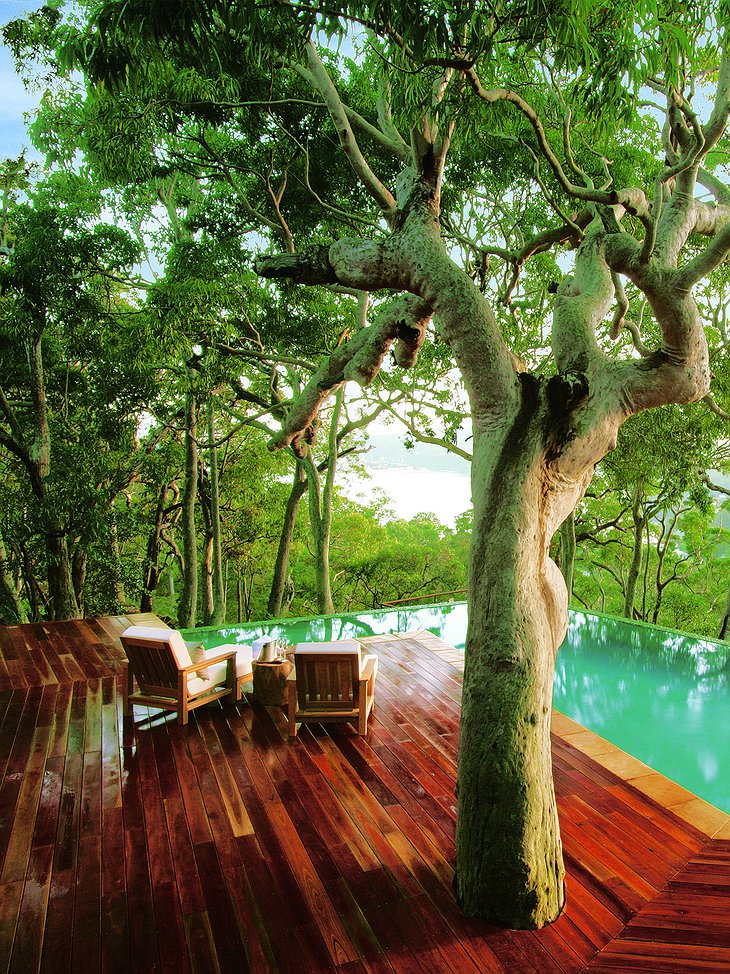 Tree and wooden pool
