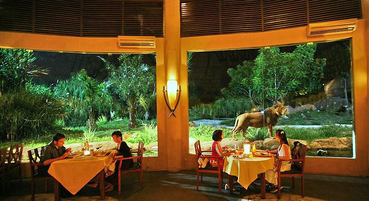 Mara River Safari Lodge restaurant with a lion in the background