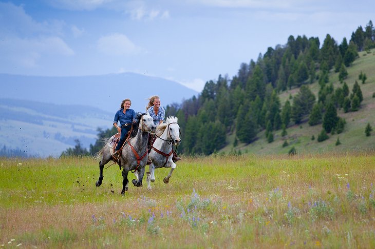 Horse riding in the wilderness of Montana