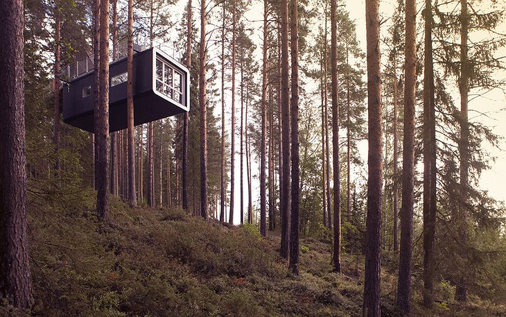 The Cabin tree house