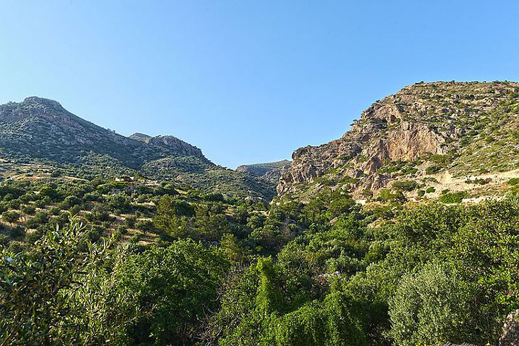 Nature around Makris Gialos, Crete