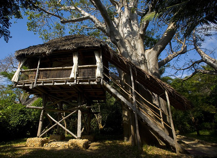 Chole Mjini Lodge tree house