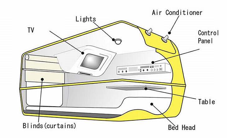 Design and functions of the capsule