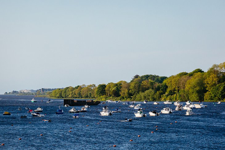 River Moy with boats