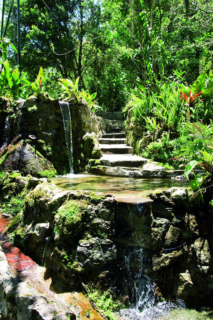 Machu Picchu Sanctuary Lodge little waterfall
