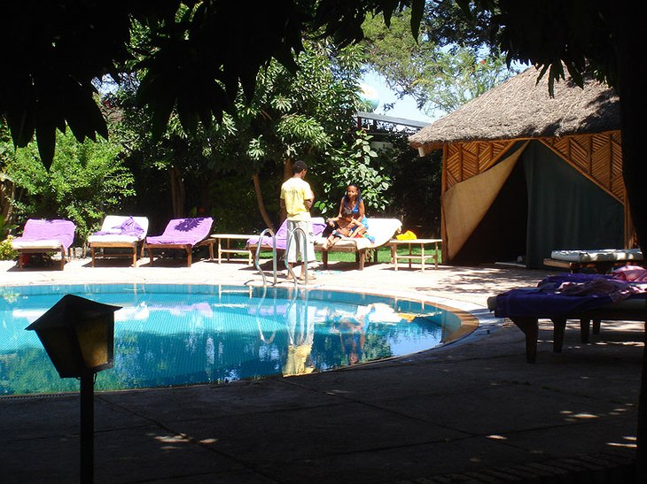Safari Lodge Adama hotel pool sunbathing