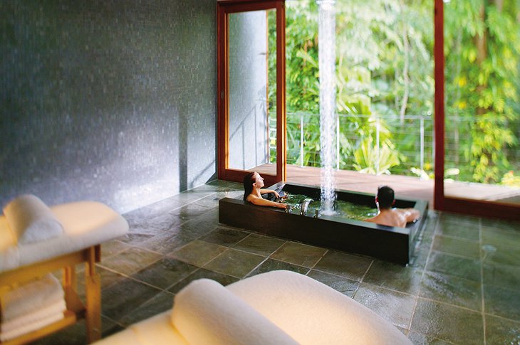 Healing Waters Spa bath tub with jungle views