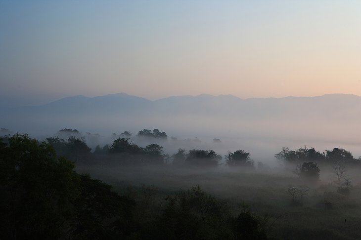 Early morning mist at the border of Myanmar, Thailand and Laos