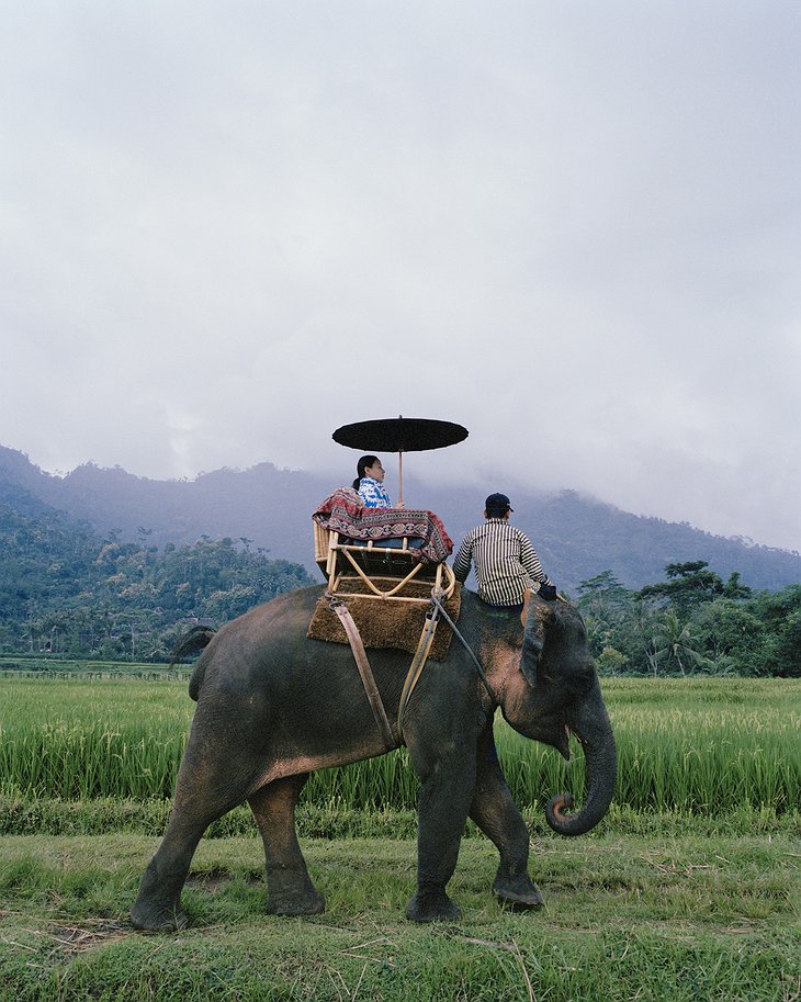 Amanjiwo - Elephant Ride