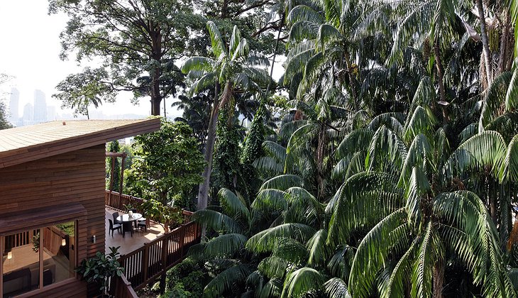 Tree Top Lofts in the jungle of Sentosa