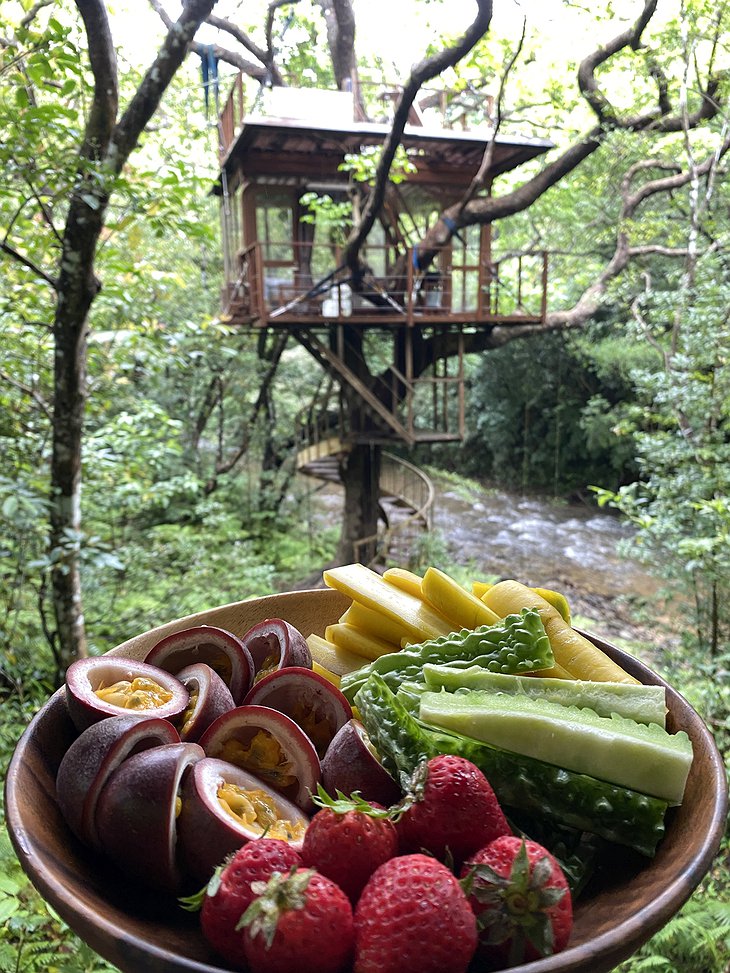 Treeful Treehouse Sustainable Resort Spiral Treehouse Fruit Basket Breakfast