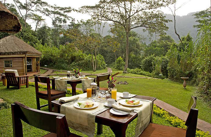 Sanctuary Gorilla Forest Camp breakfast with jungle views