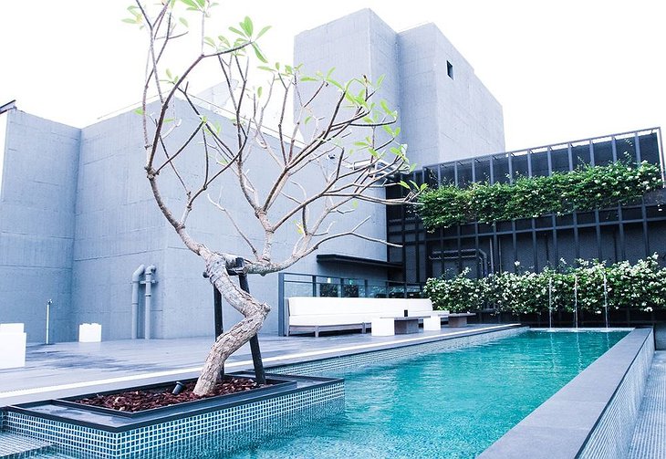 Hotel Proverbs Taipei rooftop swimming pool with a tree