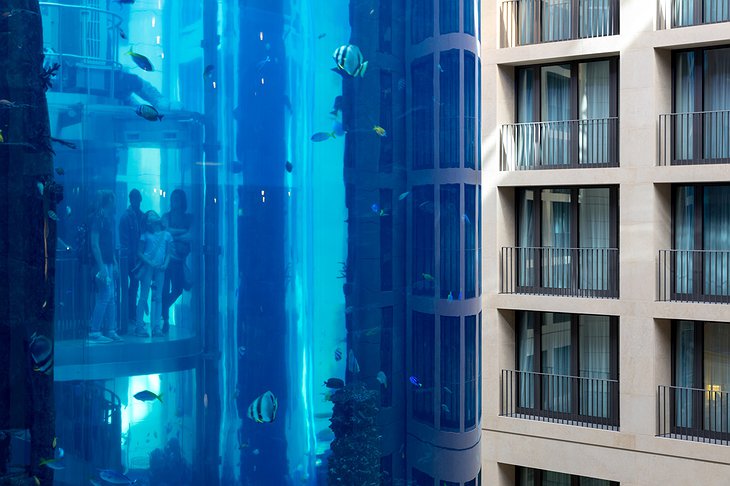Radisson Blu Berlin Aquarium Filled with Fish