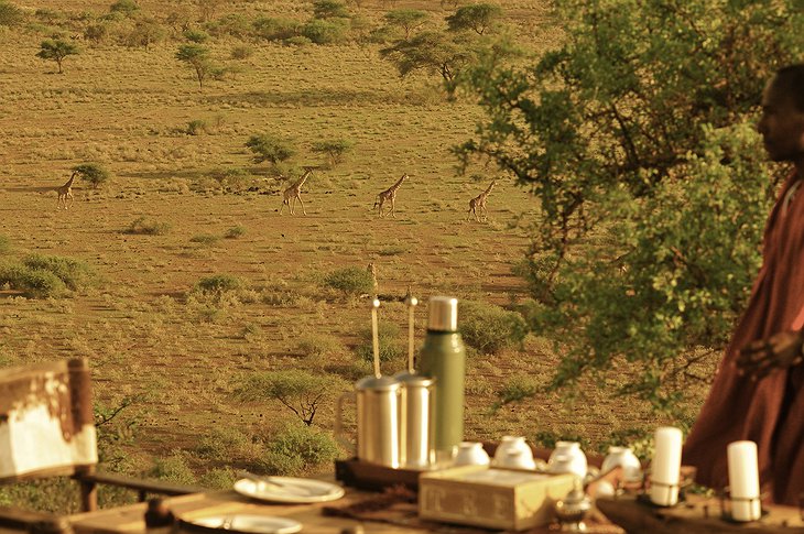 Dining with view on giraffes