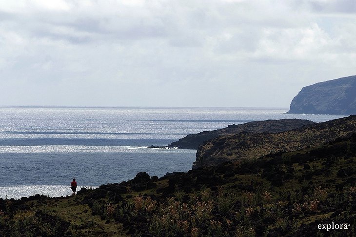 The cliffs of Easter Island