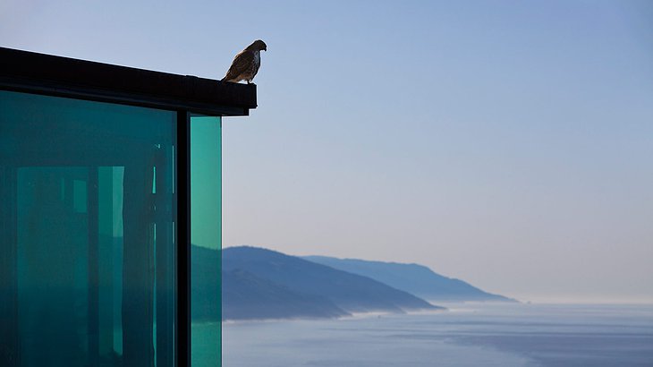 Bird on the top of Post Ranch Inn