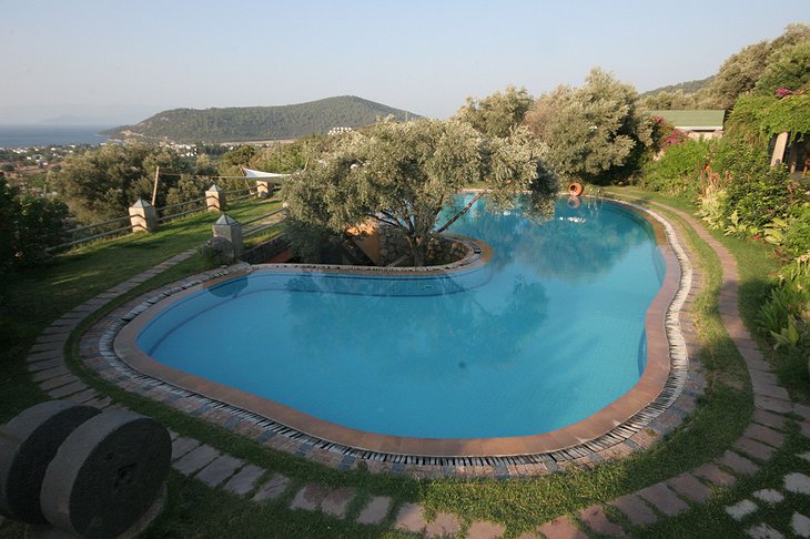 Antik Zeytin Hotel swimming pool