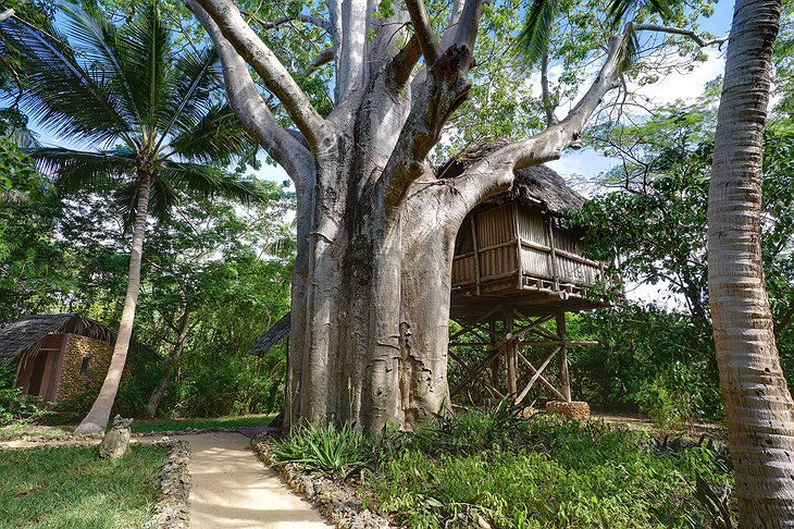 Chole Mjini Lodge treehouses