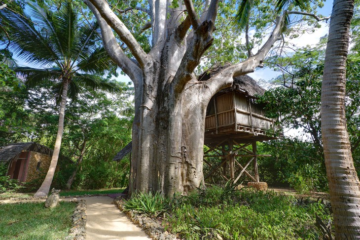 Танзания, “Chole Mjini Lodge”