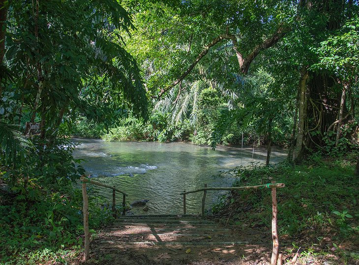 Our Jungle House Resort River
