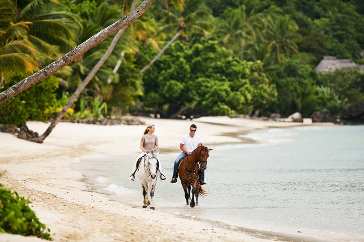 Laucala Island beach horse riding