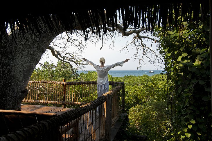 View from the treehouse on Chole Island