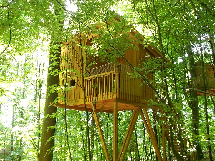 Baumhaushotel Solling treehouse in the green forest