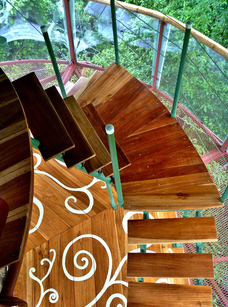 Nature Observatorio Manzanillo stairs