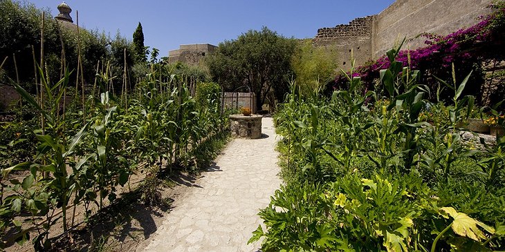 Albergo Il Monastero vegetable garden