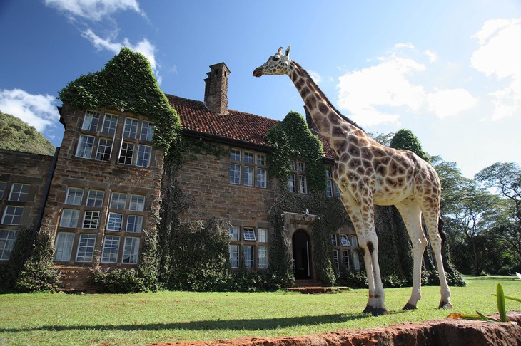 Giraffe Manor suite duplex
