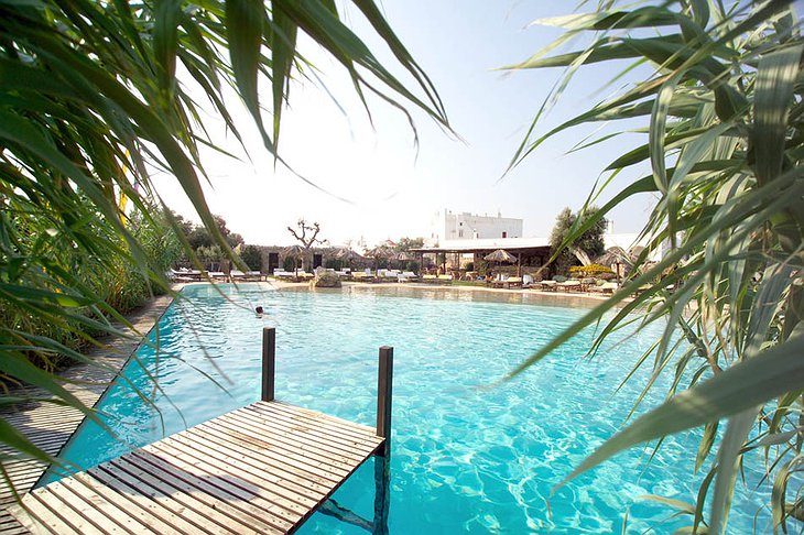 Masseria Torre Coccaro hotel swimming pool