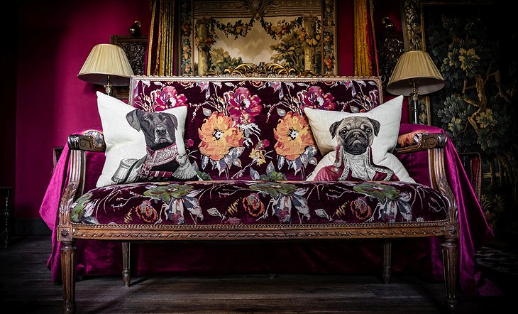 Royal Dog Couch Pillows