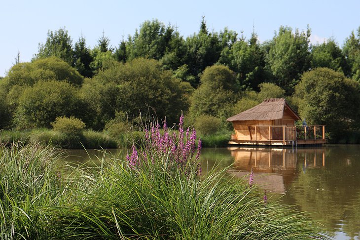 Floating wooden hut in the nature