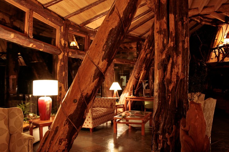 Tree house interior