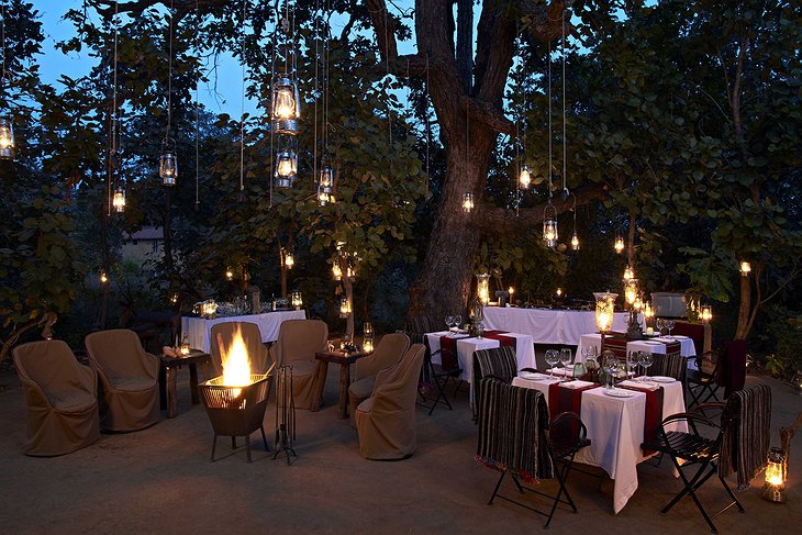Samode Safari Lodge dining under the tree of lights