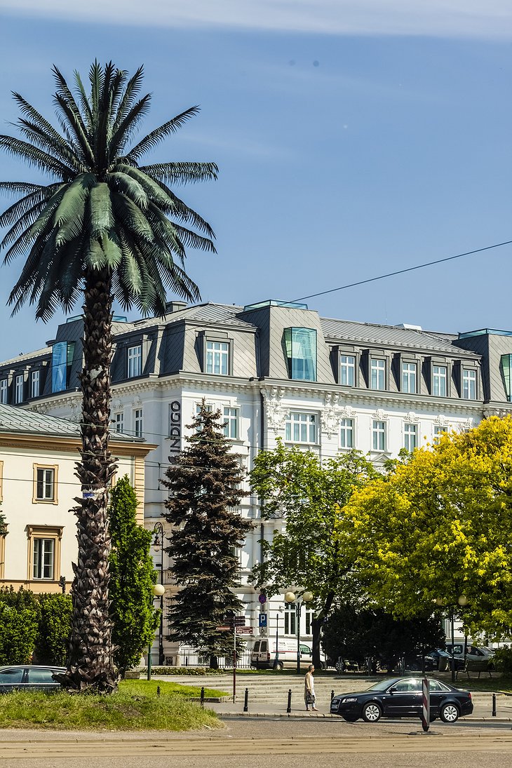 Nowy Swiat Palm and Hotel Indigo in Warsaw