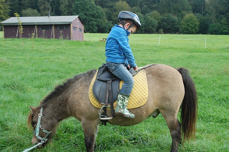 Kid sitting on a horse