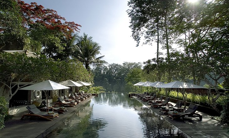Maya Ubud Resort main pool
