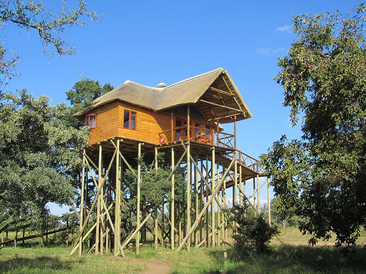 Pezulu Tree House Game Lodge